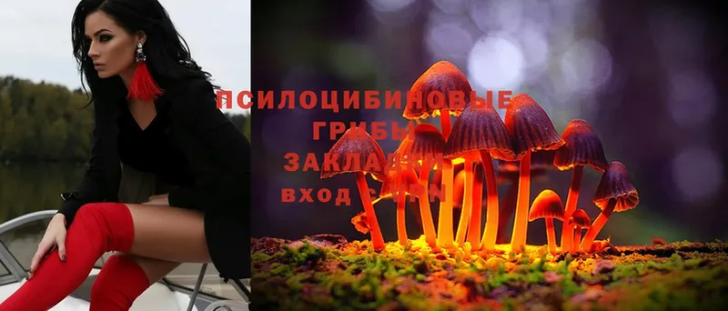 Псилоцибиновые грибы MAGIC MUSHROOMS  Коммунар 